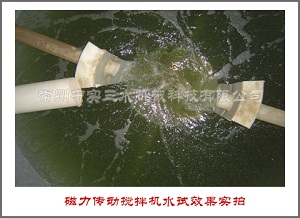 磁力傳動攪拌機水試效果實拍
